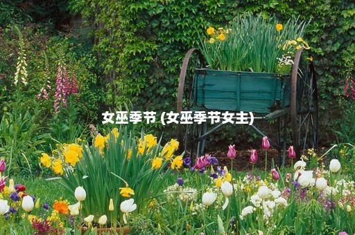 女巫季节 (女巫季节女主)