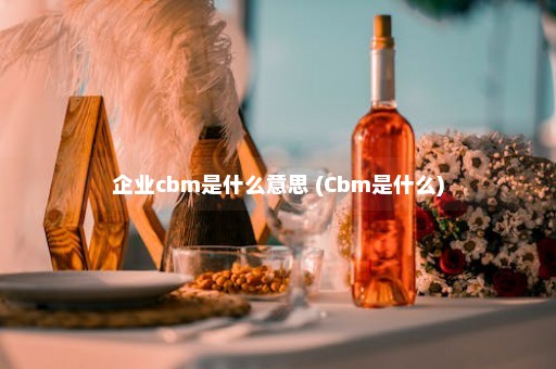 企业cbm是什么意思 (Cbm是什么)