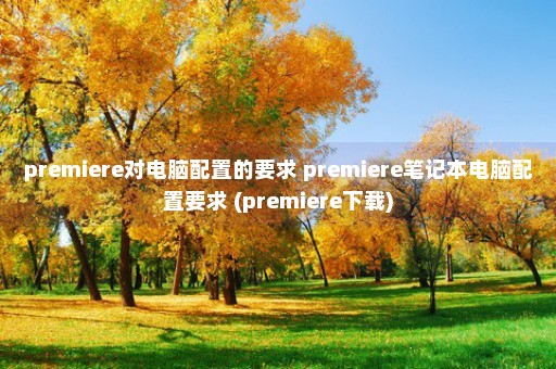 premiere对电脑配置的要求 premiere笔记本电脑配置要求 (premiere下载)