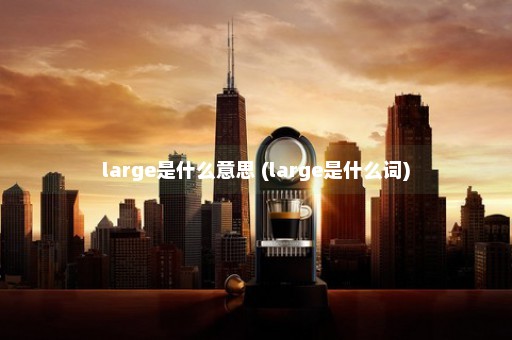 large是什么意思 (large是什么词)