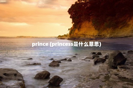 prince (princess是什么意思)