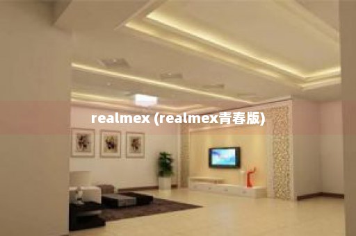 realmex (realmex青春版)