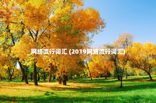 网络流行词汇 (2019网络流行词汇)