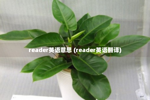 reader英语意思 (reader英语翻译)