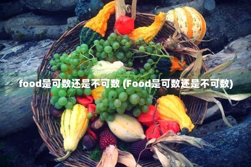 food是可数还是不可数 (Food是可数还是不可数)