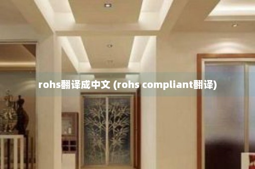 rohs翻译成中文 (rohs compliant翻译)