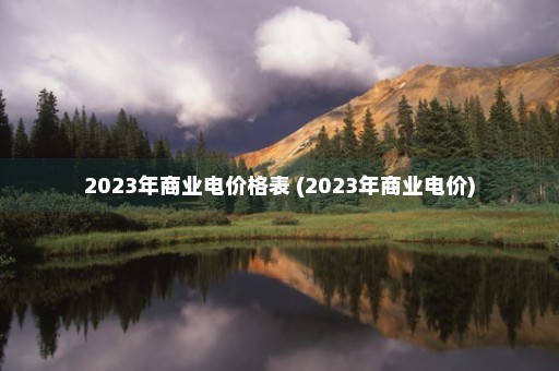 2023年商业电价格表 (2023年商业电价)