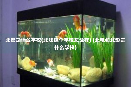 北影是什么学校(北戏这个学校怎么样) (北电和北影是什么学校)