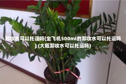 卸妆水可以托运吗(坐飞机500ml的卸妆水可以托运吗) (大瓶卸妆水可以托运吗)