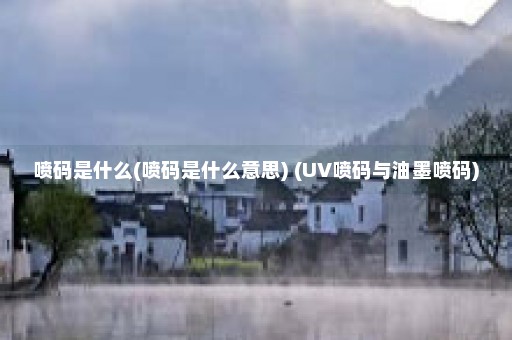 喷码是什么(喷码是什么意思) (UV喷码与油墨喷码)