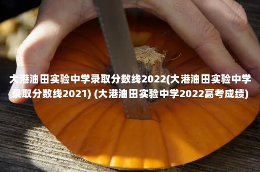 大港油田实验中学录取分数线2022(大港油田实验中学录取分数线2021) (大港油田实验中学2022高考成绩)