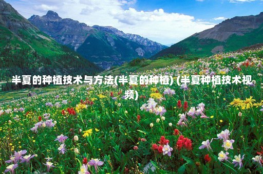 半夏的种植技术与方法(半夏的种植) (半夏种植技术视频)