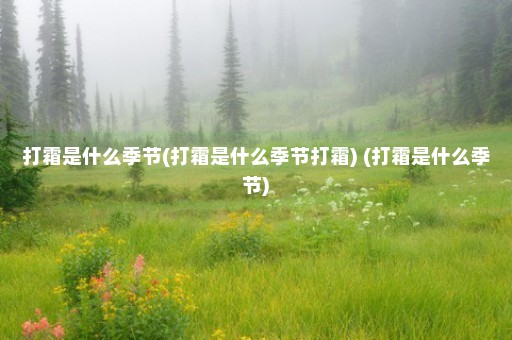 打霜是什么季节(打霜是什么季节打霜) (打霜是什么季节)