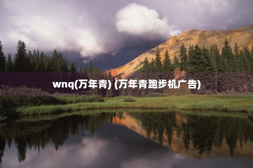 wnq(万年青) (万年青跑步机广告)