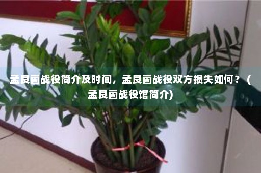 孟良崮战役简介及时间，孟良崮战役双方损失如何？ (孟良崮战役馆简介)