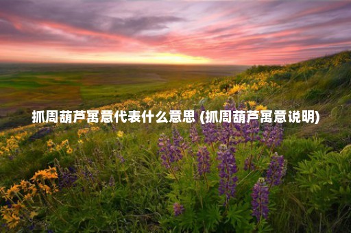 抓周葫芦寓意代表什么意思 (抓周葫芦寓意说明)