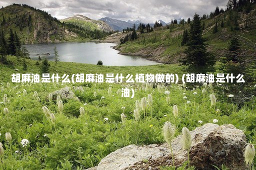 胡麻油是什么(胡麻油是什么植物做的) (胡麻油是什么油)