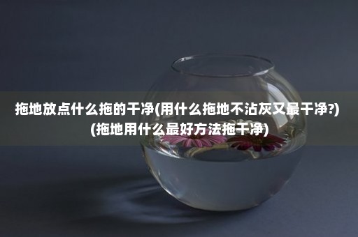 拖地放点什么拖的干净(用什么拖地不沾灰又最干净?) (拖地用什么最好方法拖干净)