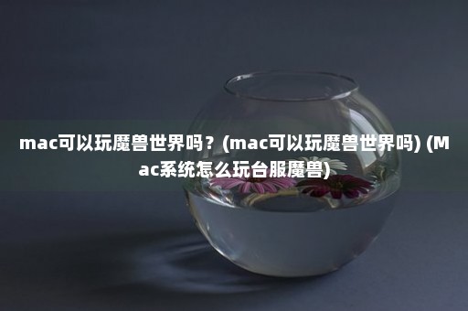 mac可以玩魔兽世界吗？(mac可以玩魔兽世界吗) (Mac系统怎么玩台服魔兽)