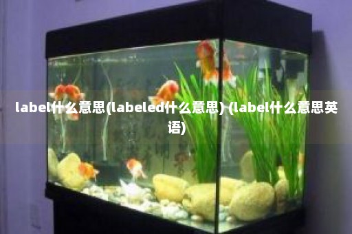 label什么意思(labeled什么意思) (label什么意思英语)