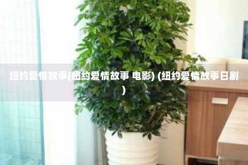 纽约爱情故事(纽约爱情故事 电影) (纽约爱情故事日剧)