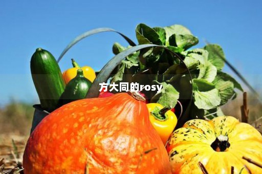 方大同的rosy