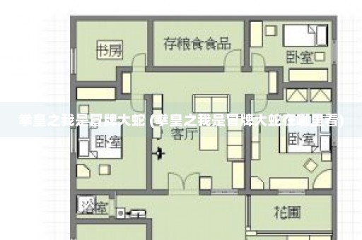 拳皇之我是冒牌大蛇 (拳皇之我是冒牌大蛇在哪里看)