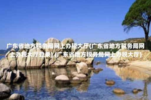 广东省地方税务局网上办税大厅(广东省地方税务局网上办税大厅登录) (广东省地方税务局网上办税大厅)