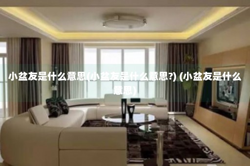 小盆友是什么意思(小盆友是什么意思?) (小盆友是什么意思)