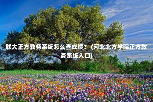 联大正方教务系统怎么查成绩？ (河北北方学院正方教务系统入口)