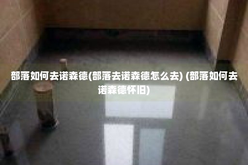 部落如何去诺森德(部落去诺森德怎么去) (部落如何去诺森德怀旧)