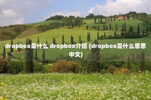 dropbox是什么 dropbox介绍 (dropbox是什么意思中文)