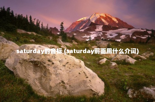 saturday的音标 (saturday前面用什么介词)