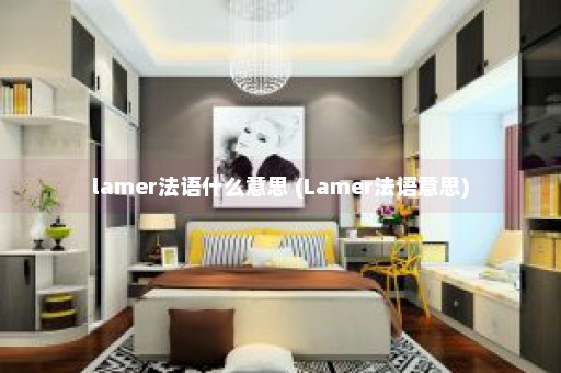 lamer法语什么意思 (Lamer法语意思)