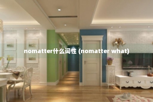 nomatter什么词性 (nomatter what)