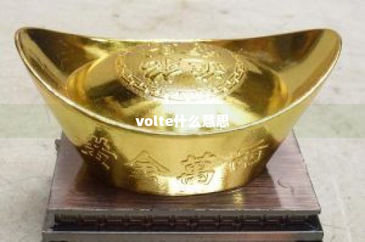 volte什么意思