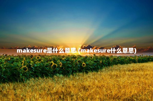 makesure是什么意思 (makesure什么意思)