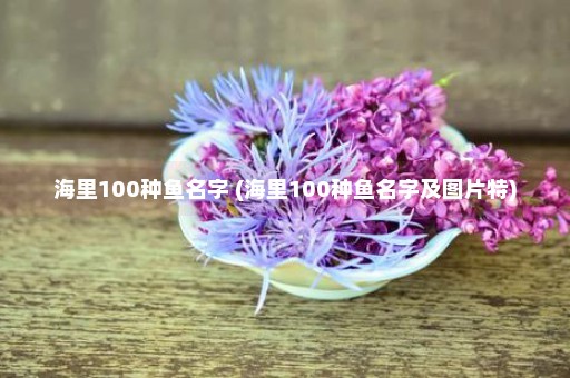 海里100种鱼名字 (海里100种鱼名字及图片特)