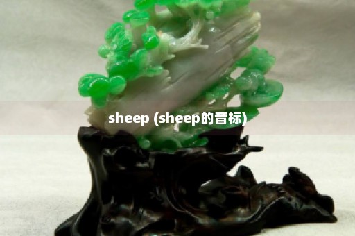 sheep (sheep的音标)