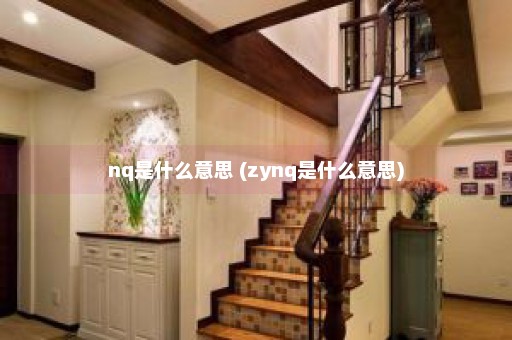 nq是什么意思 (zynq是什么意思)