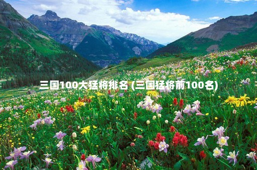 三国100大猛将排名 (三国猛将前100名)