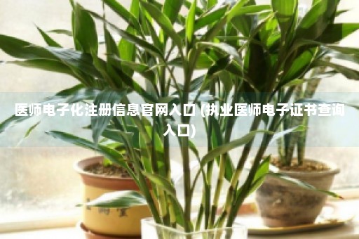 医师电子化注册信息官网入口 (执业医师电子证书查询入口)