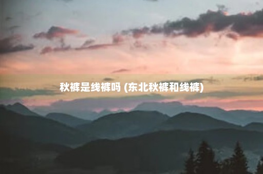 秋裤是线裤吗 (东北秋裤和线裤)