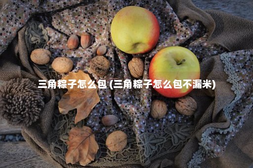 三角粽子怎么包 (三角粽子怎么包不漏米)