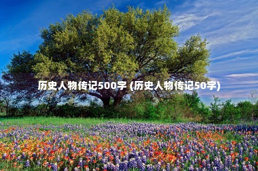 历史人物传记500字 (历史人物传记50字)