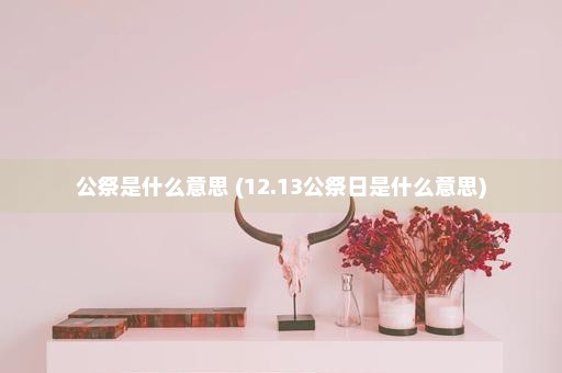 公祭是什么意思 (12.13公祭日是什么意思)