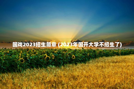 国戏2023招生简章 (2023年国开大学不招生了)