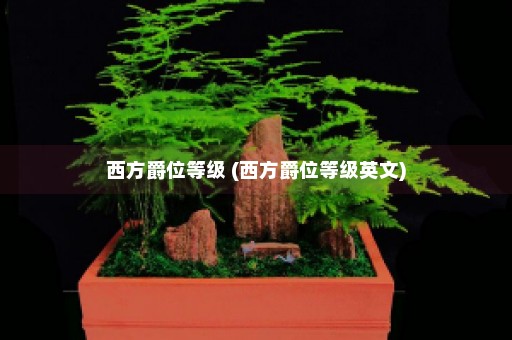 西方爵位等级 (西方爵位等级英文)