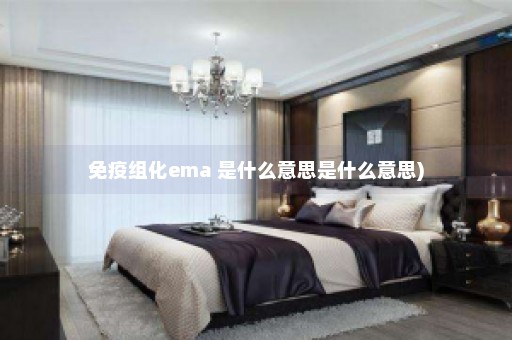 免疫组化ema 是什么意思是什么意思)