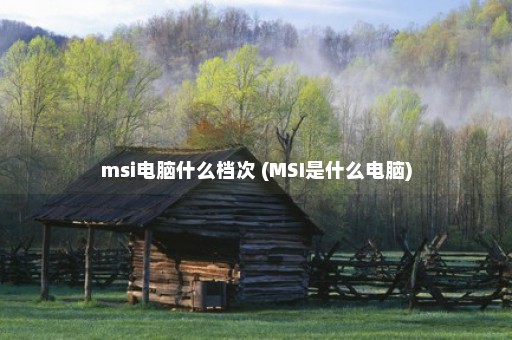 msi电脑什么档次 (MSI是什么电脑)